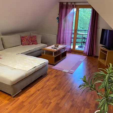 Knez Apartment *