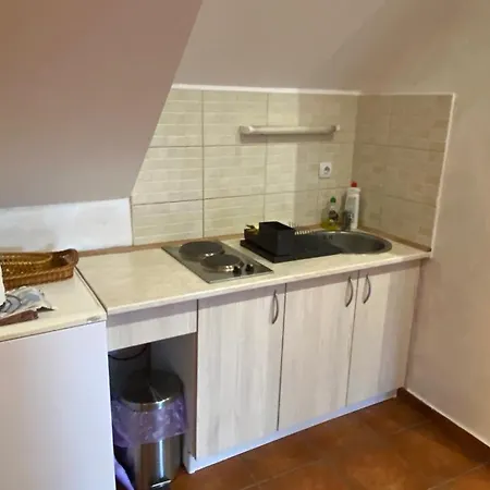Apartment Knez