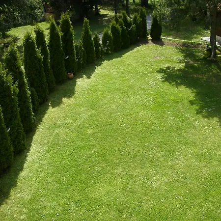 Knez Zlatibor