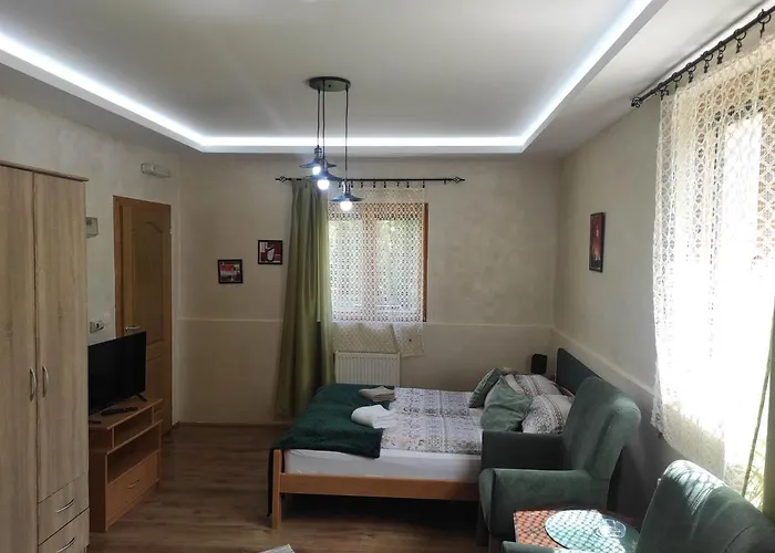 Knez * 兹拉蒂博尔