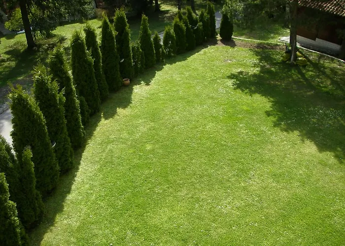 Knez 兹拉蒂博尔