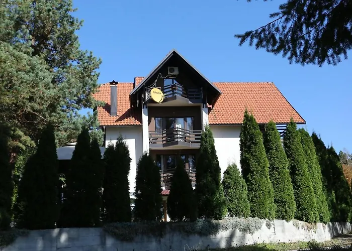 Knez 兹拉蒂博尔